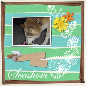 Tomo now Tobey collage 1