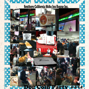 dog coin party collage