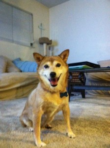 sammys new pictures 001