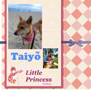 Taiyo new collage 1