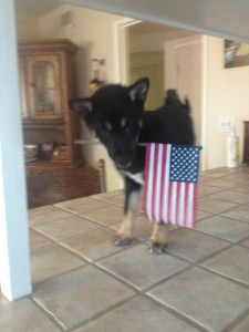 Barkley new pictures 6-14-2014