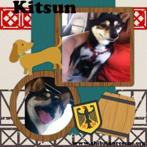 Kitsun collage