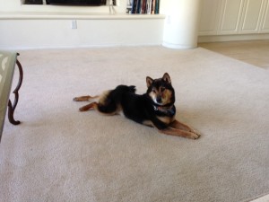 Argos in his element