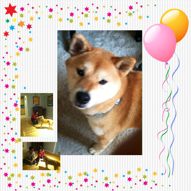 Enjoy your new life!