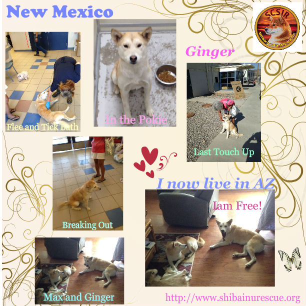 Net working saves lives!