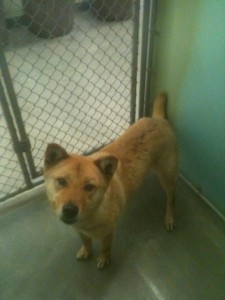 volenteer took my picture