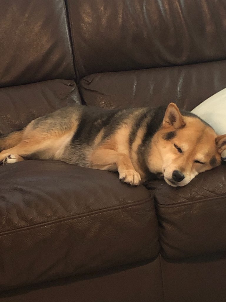 Mina Foster Failed Adopted